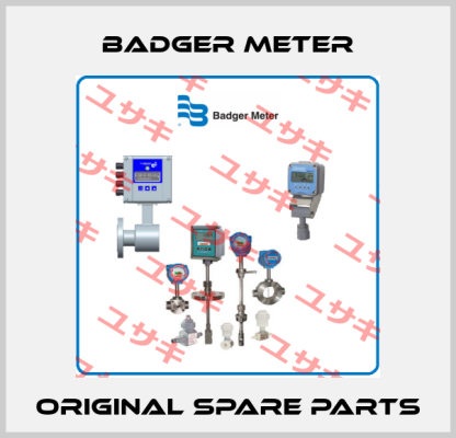 Badger Meter