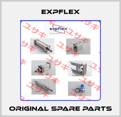 EXPFLEX