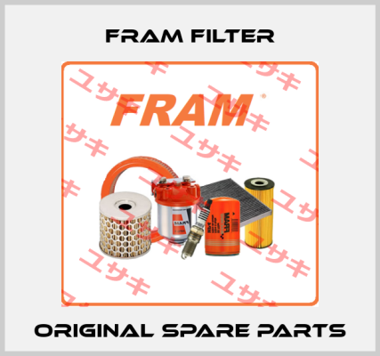 FRAM filter