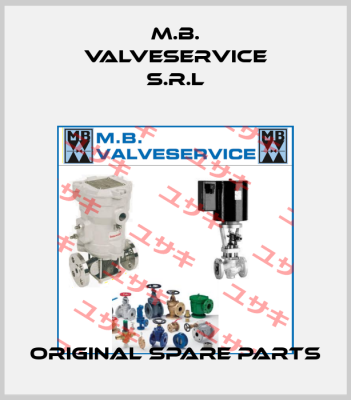 M.B. VALVESERVICE S.R.L
