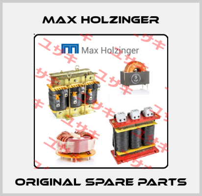 Max Holzinger