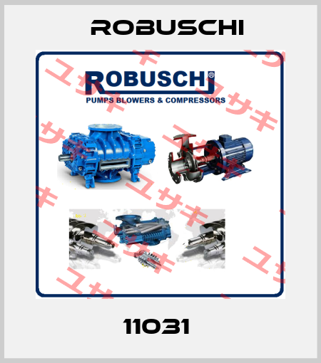 11031  Robuschi