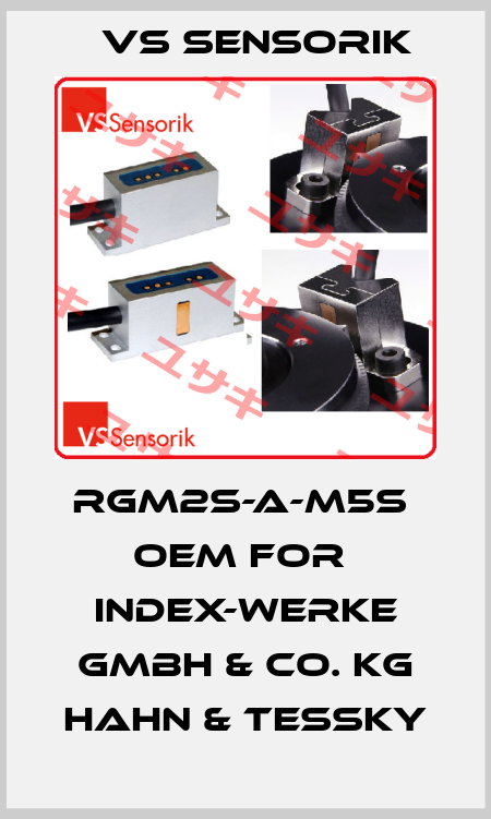 RGM2S-A-M5S  OEM for  INDEX-Werke GmbH & Co. KG Hahn & Tessky VS Sensorik