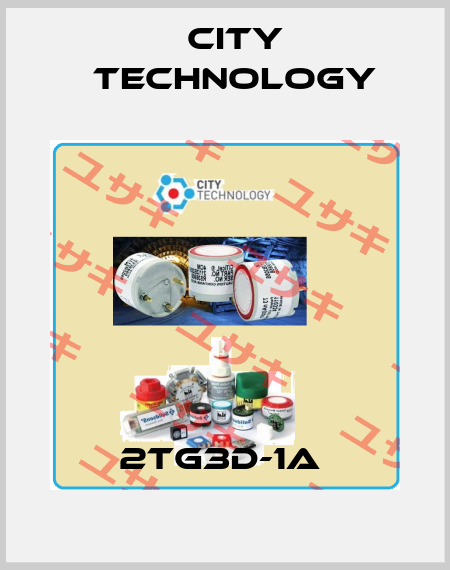 2TG3D-1A  City Technology