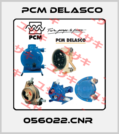 056022.CNR  PCM delasco