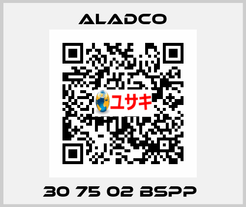 30 75 02 BSPP  Aladco
