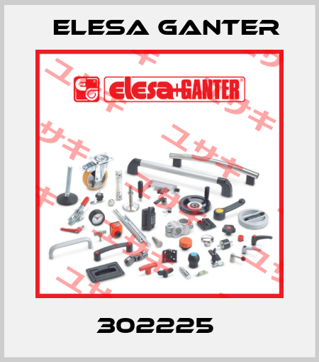 302225  Elesa Ganter