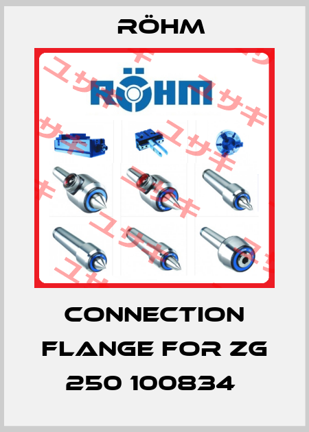 Connection flange for ZG 250 100834  Röhm