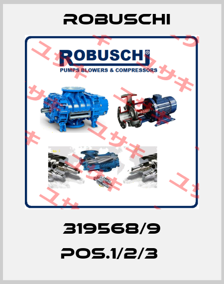 319568/9 POS.1/2/3  Robuschi