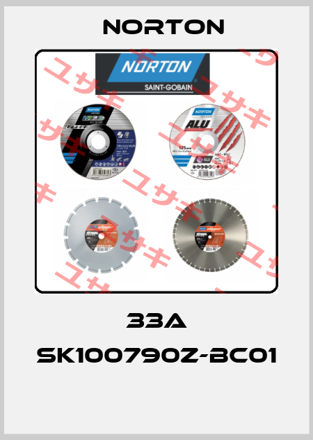 33A SK100790Z-BC01  Norton