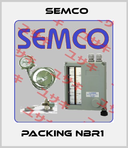 PACKING NBR1  Semco