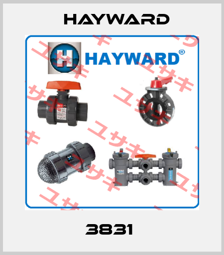 3831  HAYWARD