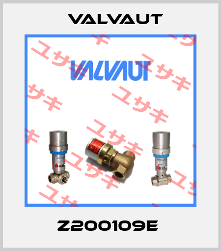 Z200109E  Valvaut