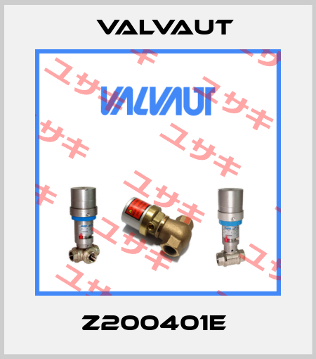 Z200401E  Valvaut