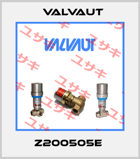 Z200505E  Valvaut