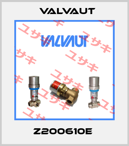 Z200610E  Valvaut