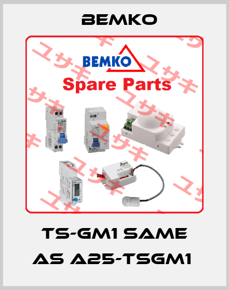 TS-GM1 same as A25-TSGM1  Bemko