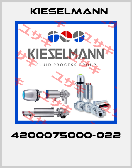 4200075000-022  Kiesselmann