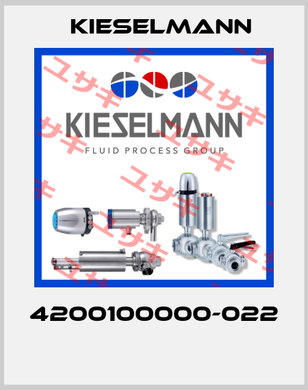 4200100000-022  Kiesselmann