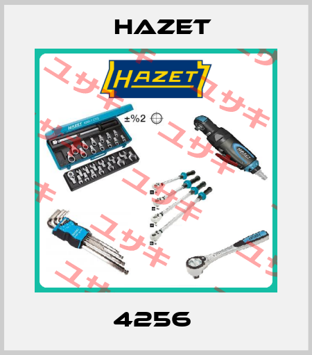 4256  Hazet