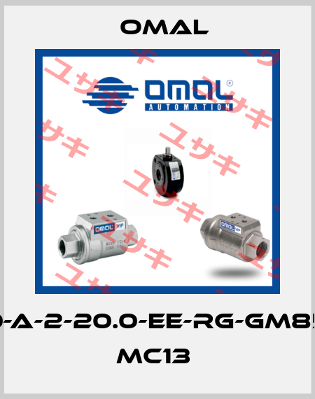 2000-A-2-20.0-EE-RG-GM85-B-D MC13  Omal