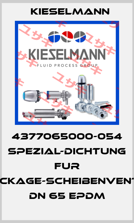 4377065000-054 SPEZIAL-DICHTUNG FUR LECKAGE-SCHEIBENVENTIL DN 65 EPDM Kieselmann
