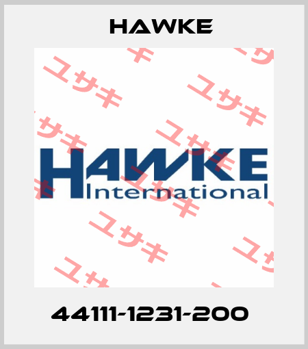 44111-1231-200  Hawke