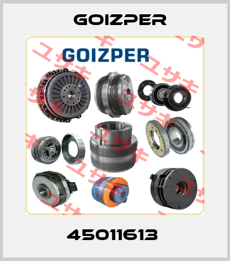 45011613  Goizper