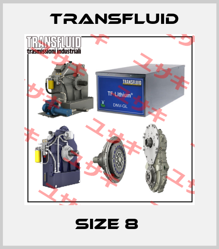 Size 8  Transfluid
