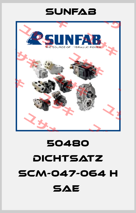 50480 DICHTSATZ SCM-047-064 H SAE  Sunfab