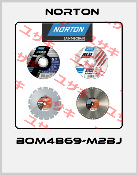BOM4869-M2BJ  Norton