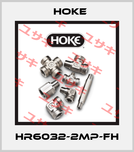 HR6032-2MP-FH Hoke