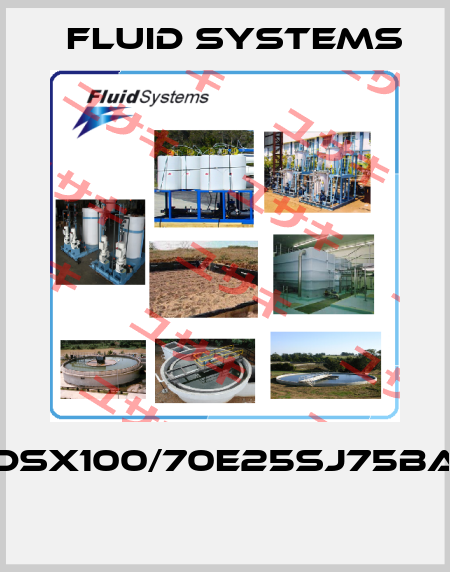 CDSX100/70E25SJ75BA3  Fluid Systems