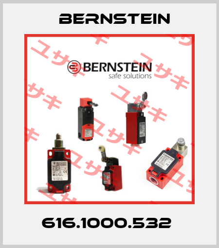 616.1000.532  Bernstein