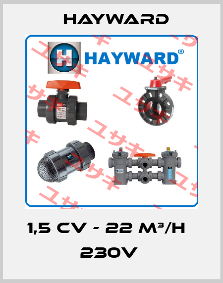 1,5 CV - 22 M³/H        230V  HAYWARD