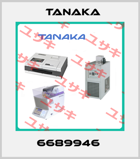 6689946  Tanaka
