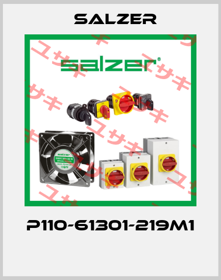 P110-61301-219M1  Salzer