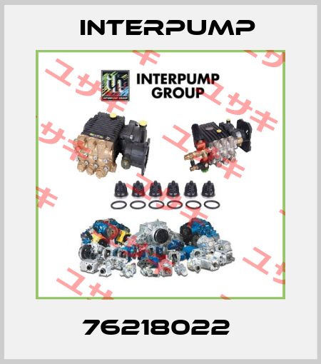76218022  Interpump