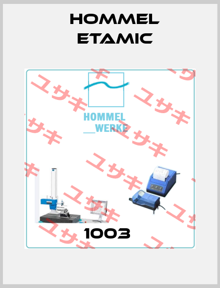 1003  Hommelwerke