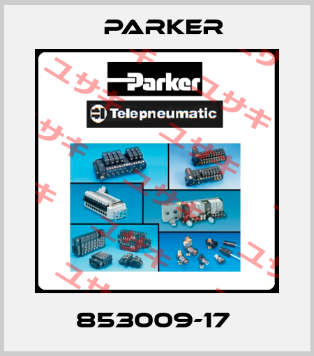 853009-17  Parker