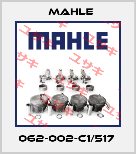 062-002-C1/517  MAHLE