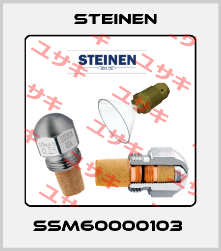 SSM60000103  Steinen
