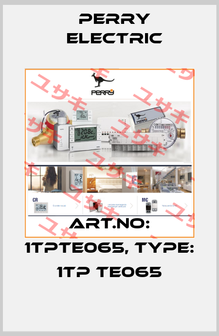 Art.No: 1TPTE065, Type: 1TP TE065 Perry Electric