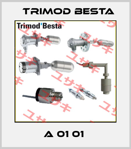 A 01 01  Trimod Besta