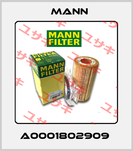 A0001802909  Mann