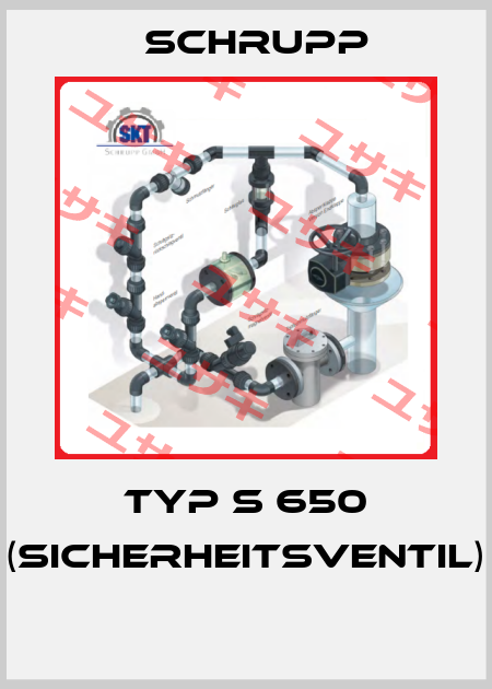 Typ S 650 (Sicherheitsventil)  Schrupp