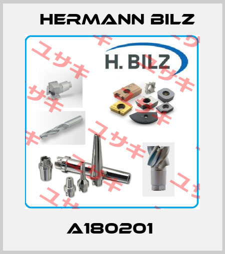 A180201  Hermann Bilz