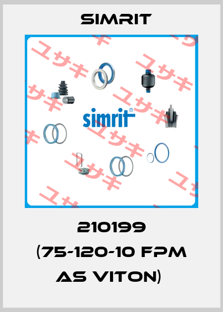 210199 (75-120-10 FPM AS Viton)  SIMRIT