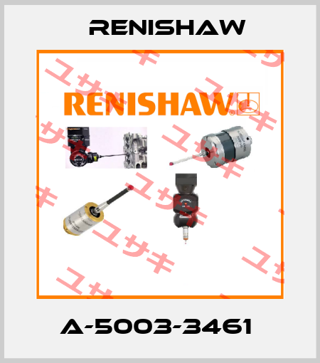 A-5003-3461  Renishaw