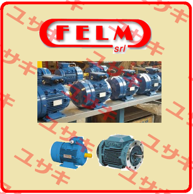 FA3 100L-2 Felm
